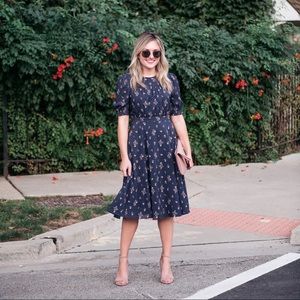 Gal Meets Glam Emily Fit & Flare Dress Navy/Blush